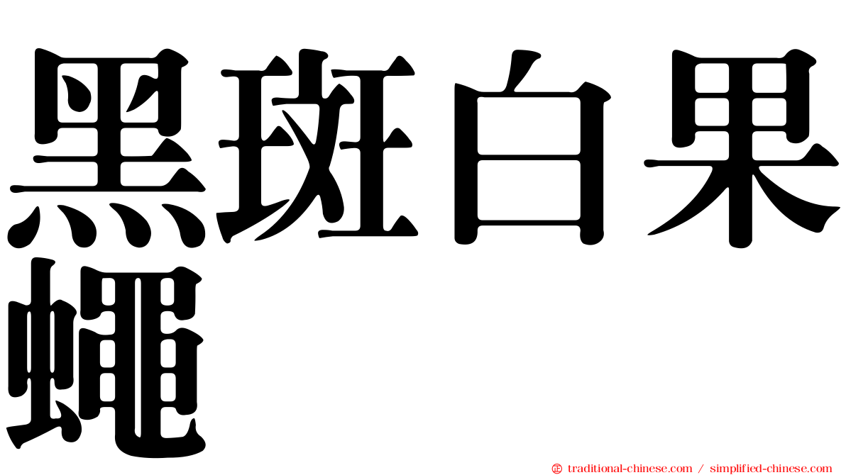 黑斑白果蠅