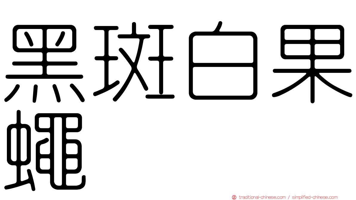 黑斑白果蠅