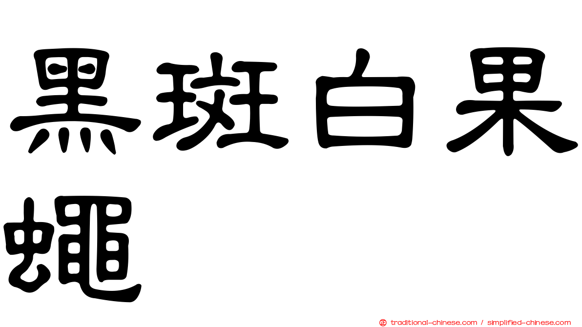 黑斑白果蠅