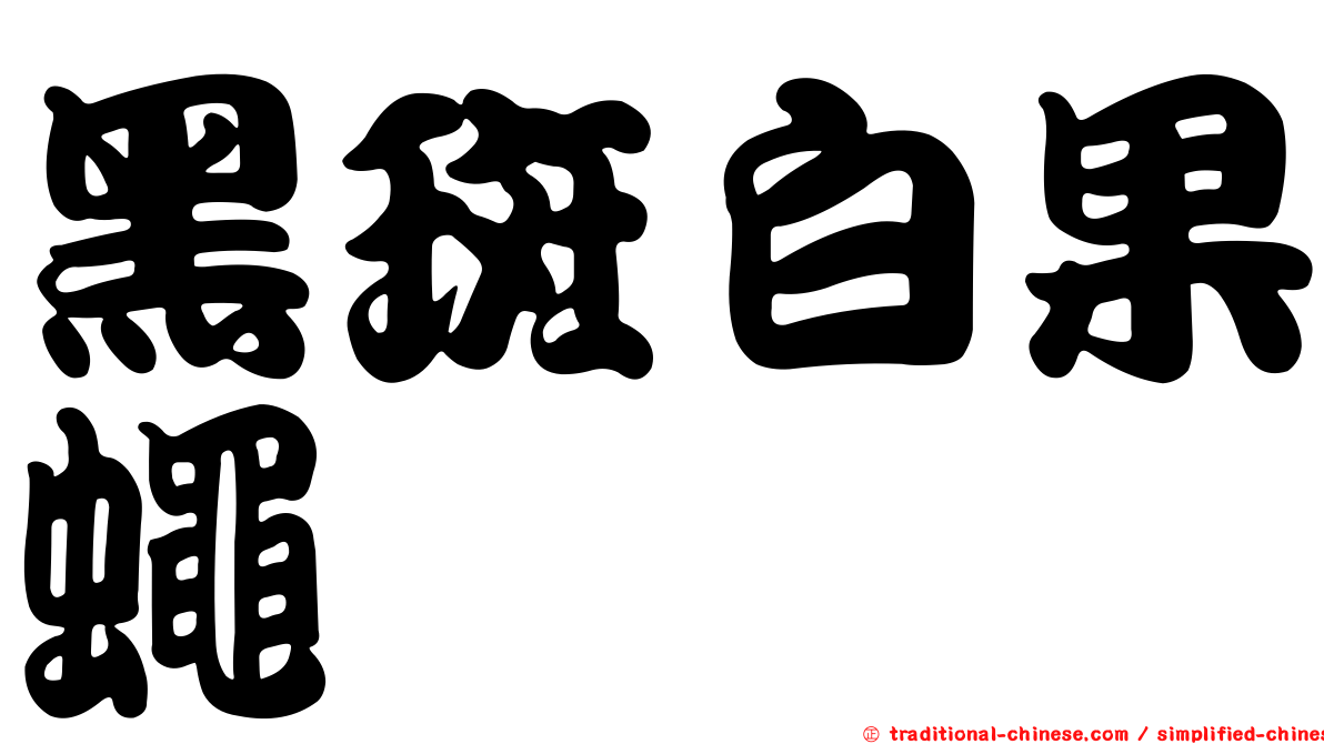 黑斑白果蠅