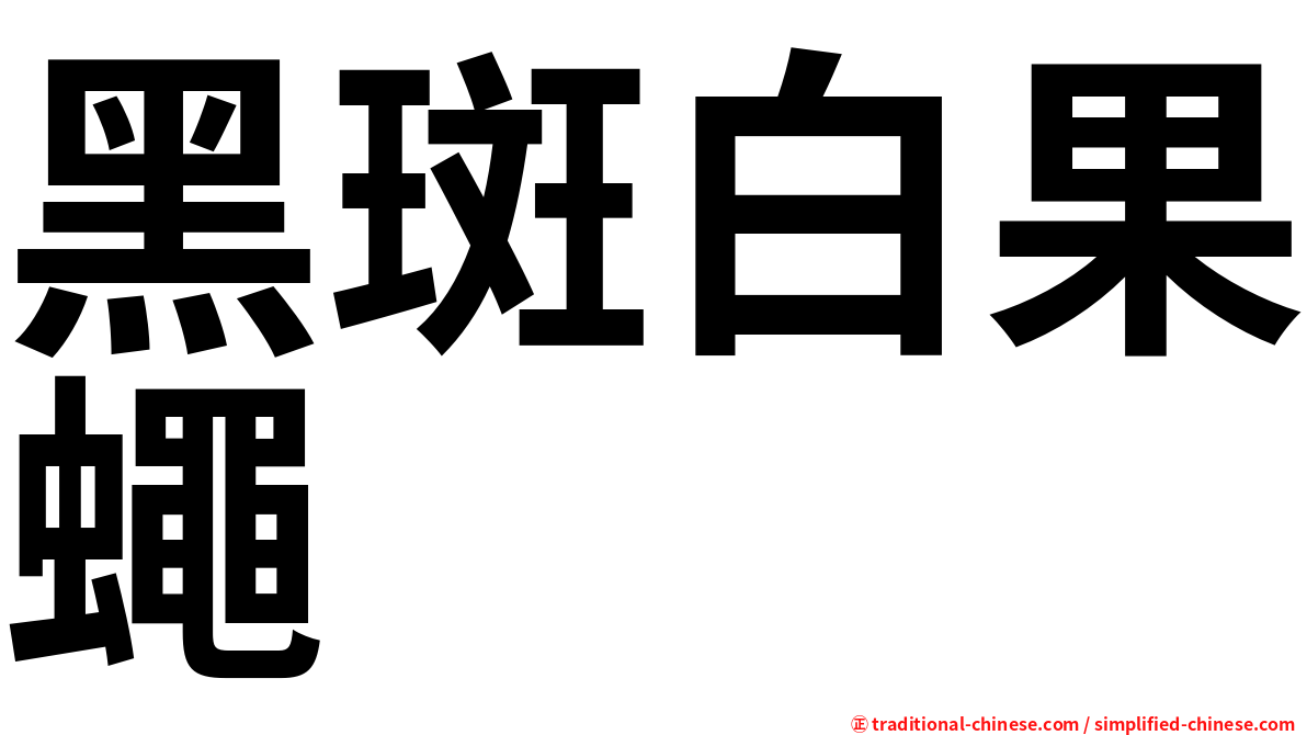 黑斑白果蠅