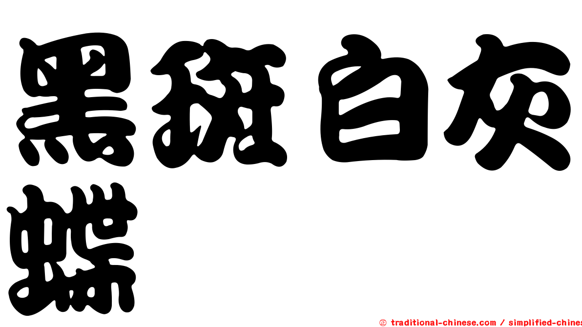 黑斑白灰蝶