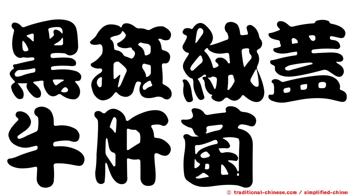黑斑絨蓋牛肝菌