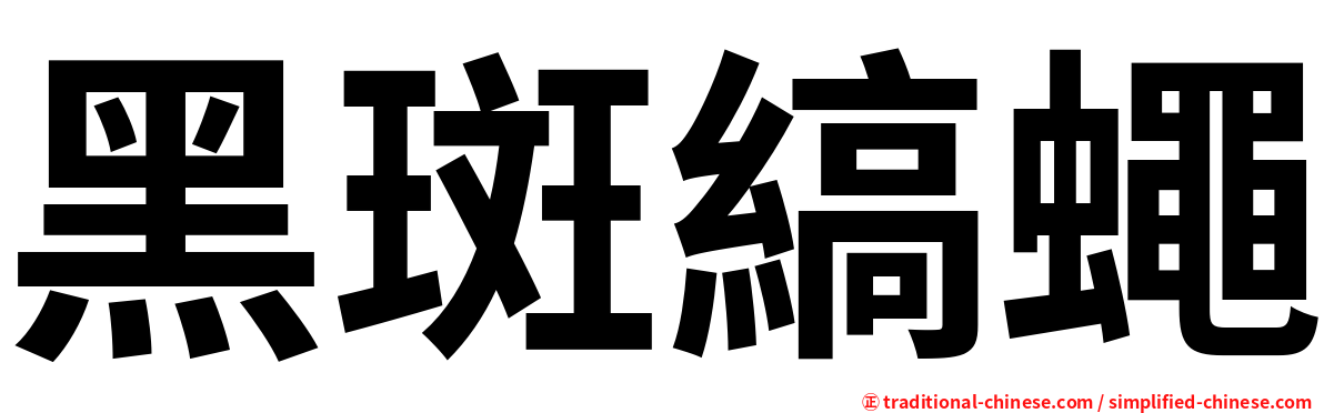 黑斑縞蠅