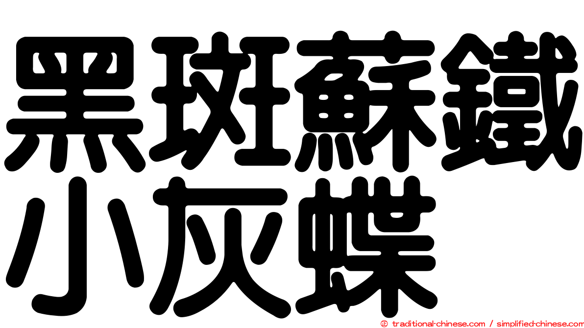 黑斑蘇鐵小灰蝶