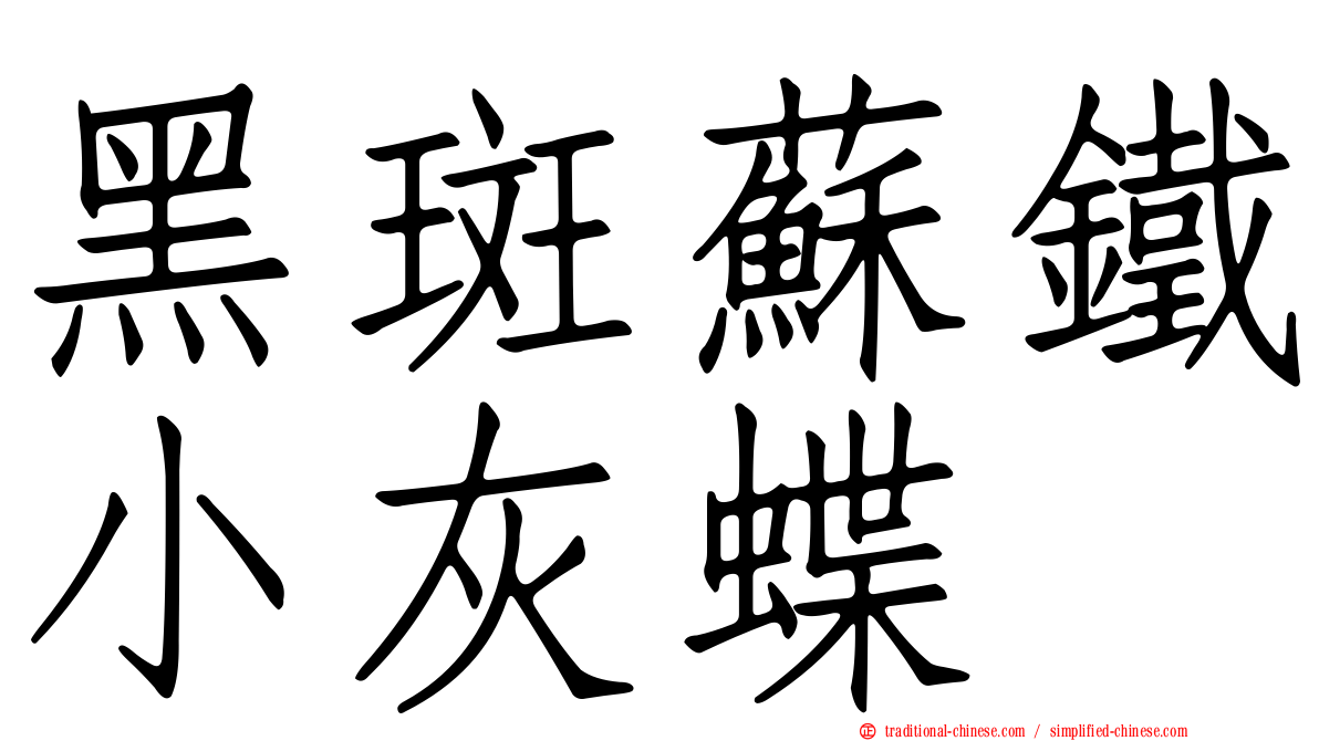 黑斑蘇鐵小灰蝶