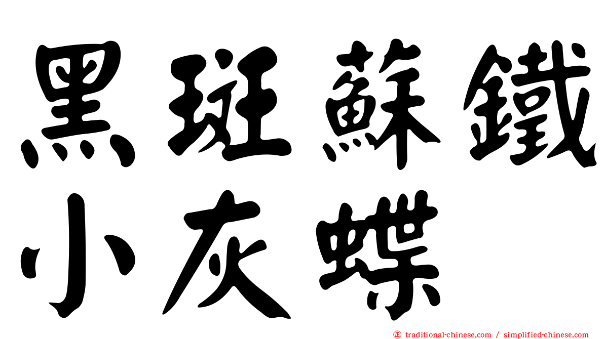 黑斑蘇鐵小灰蝶