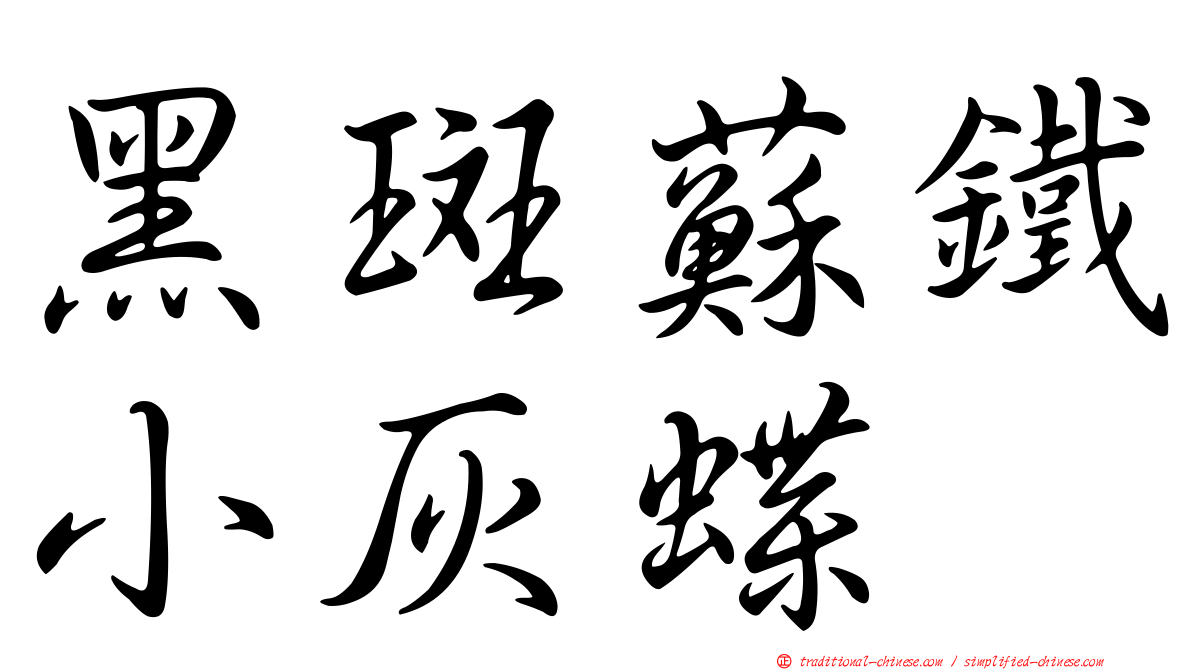 黑斑蘇鐵小灰蝶