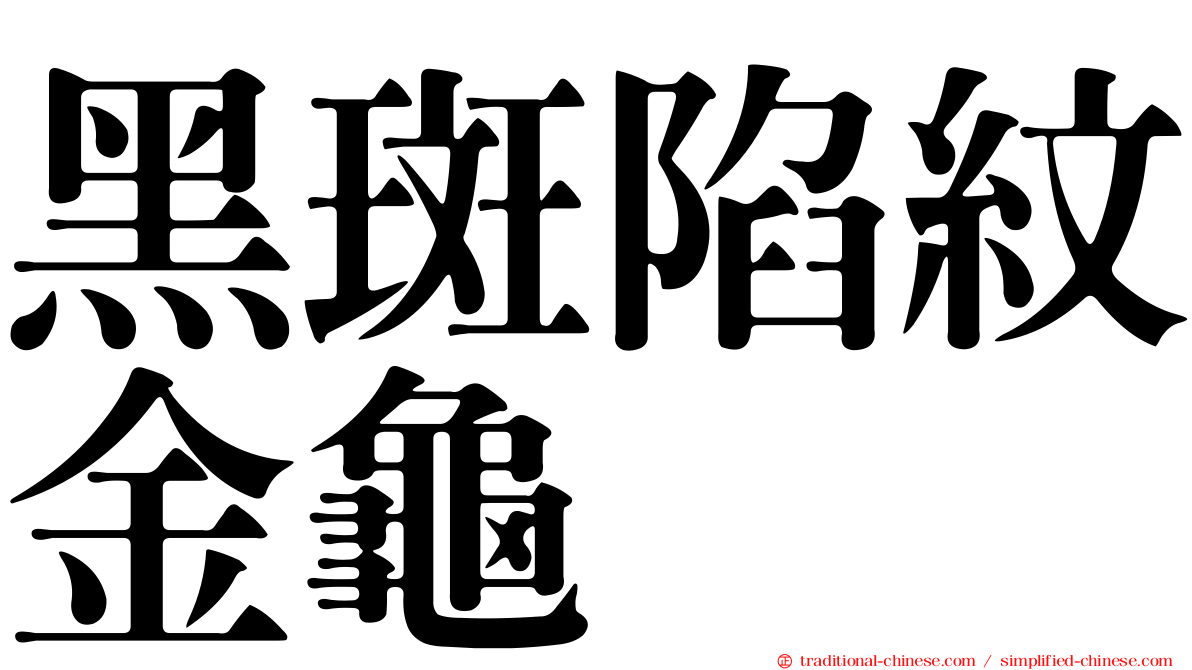 黑斑陷紋金龜