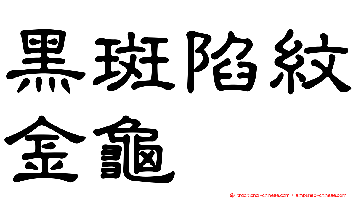 黑斑陷紋金龜