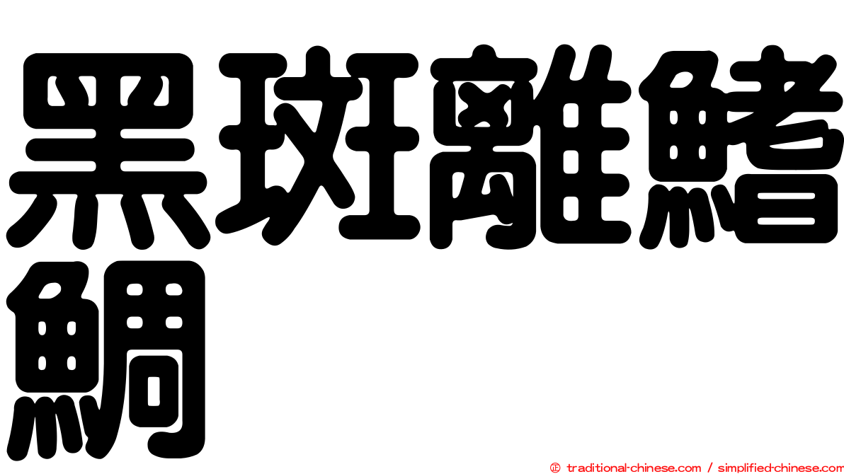 黑斑離鰭鯛