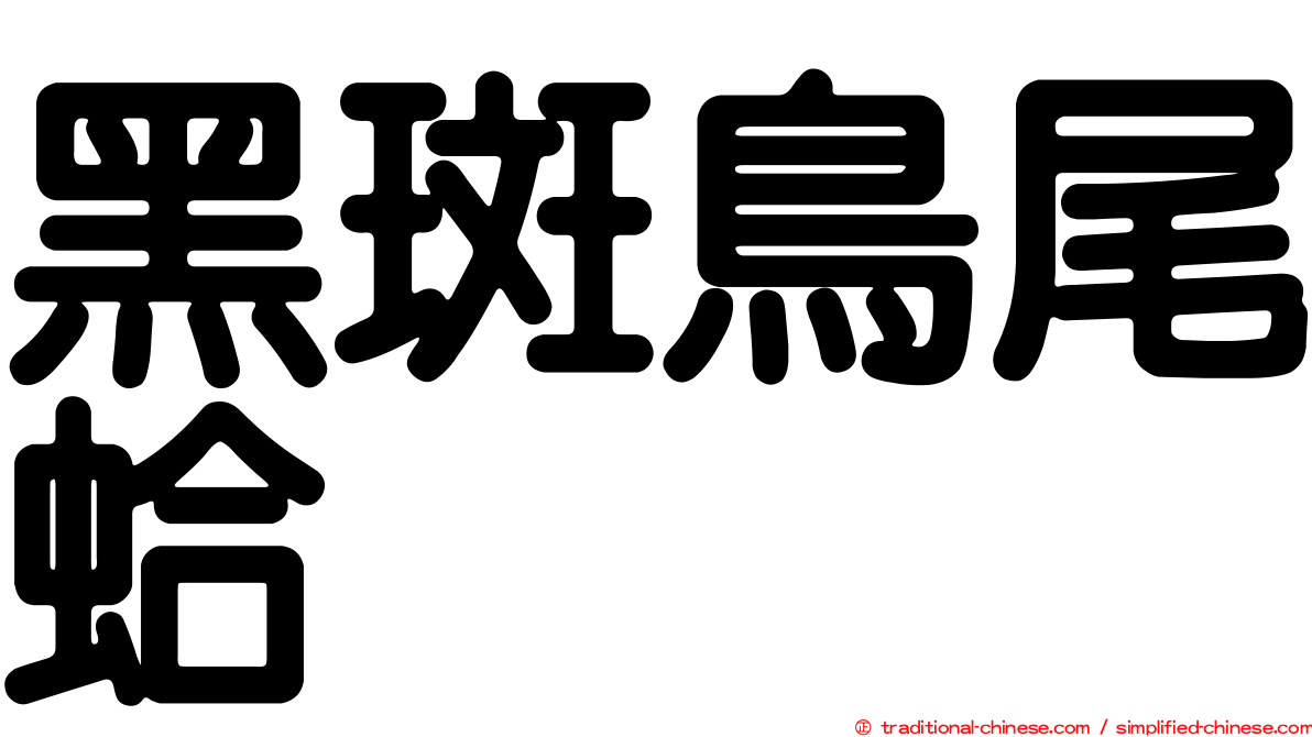 黑斑鳥尾蛤