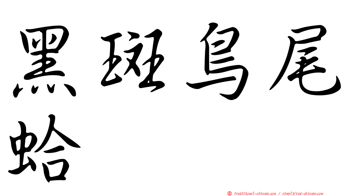 黑斑鳥尾蛤