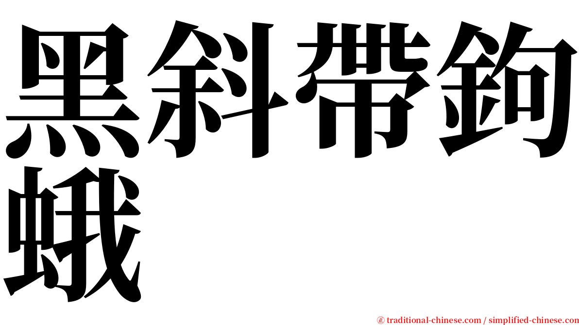 黑斜帶鉤蛾 serif font