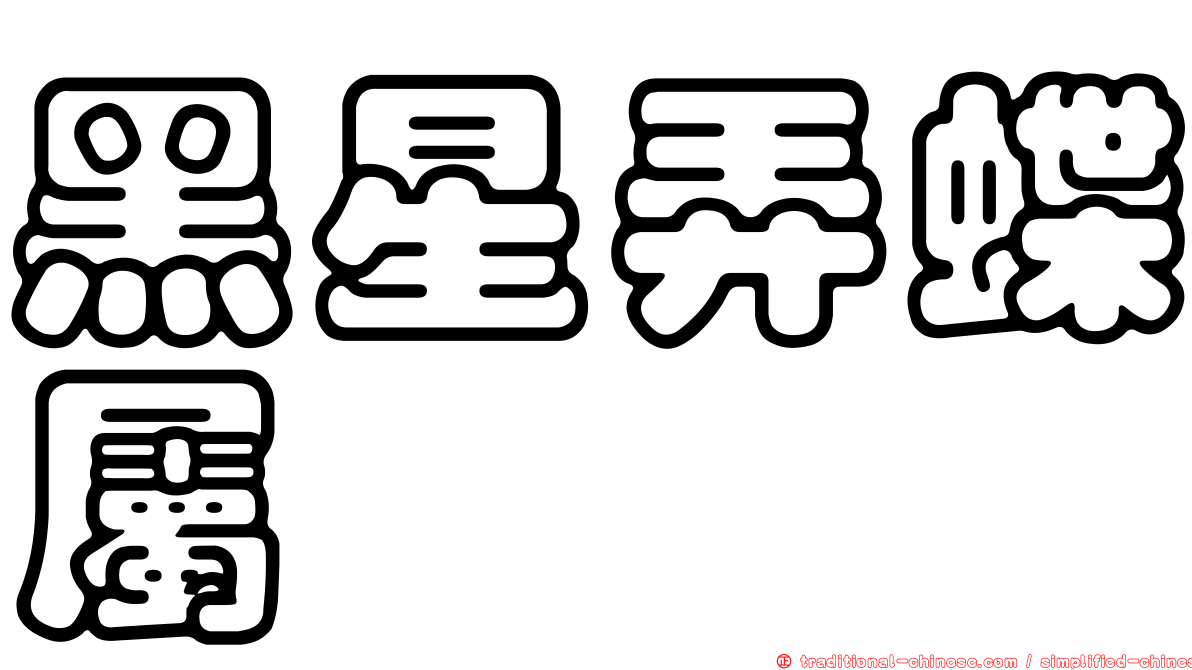 黑星弄蝶屬