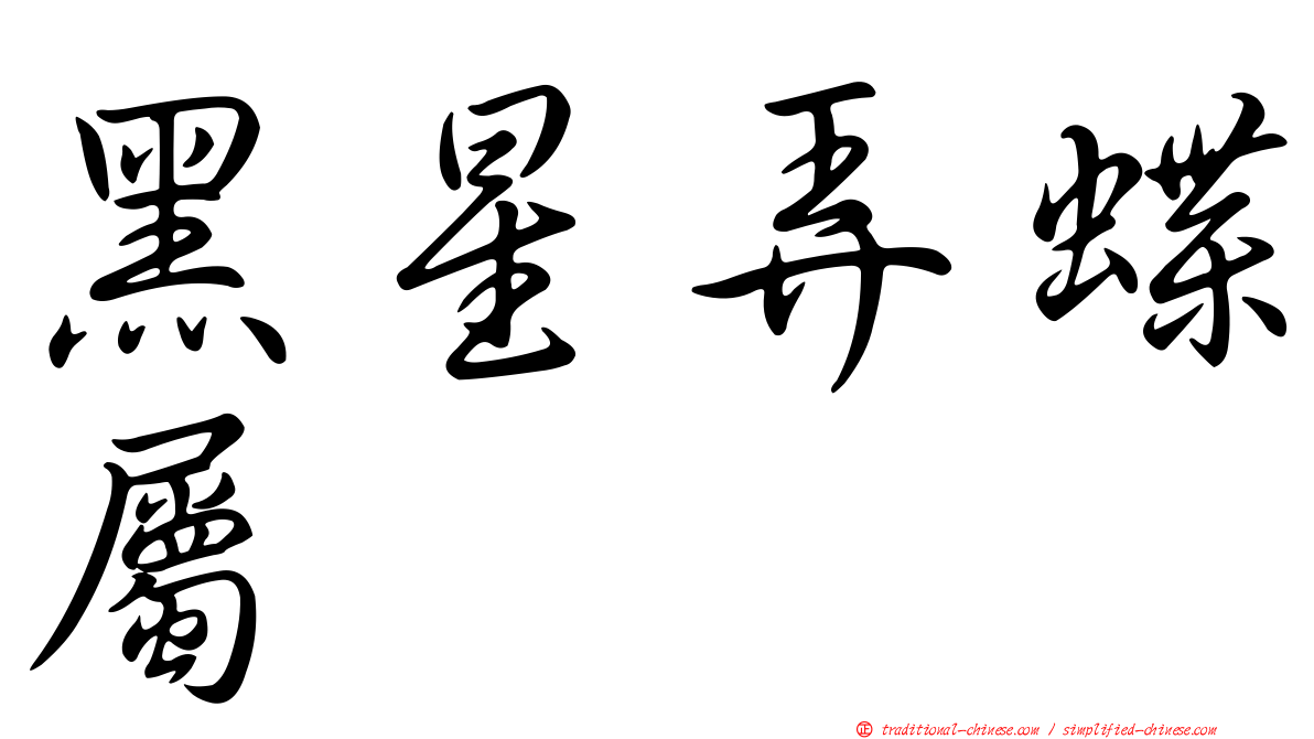 黑星弄蝶屬
