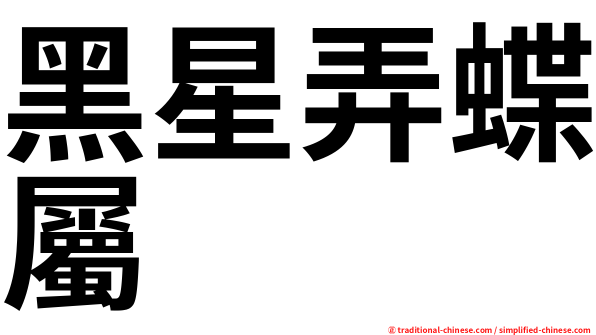 黑星弄蝶屬