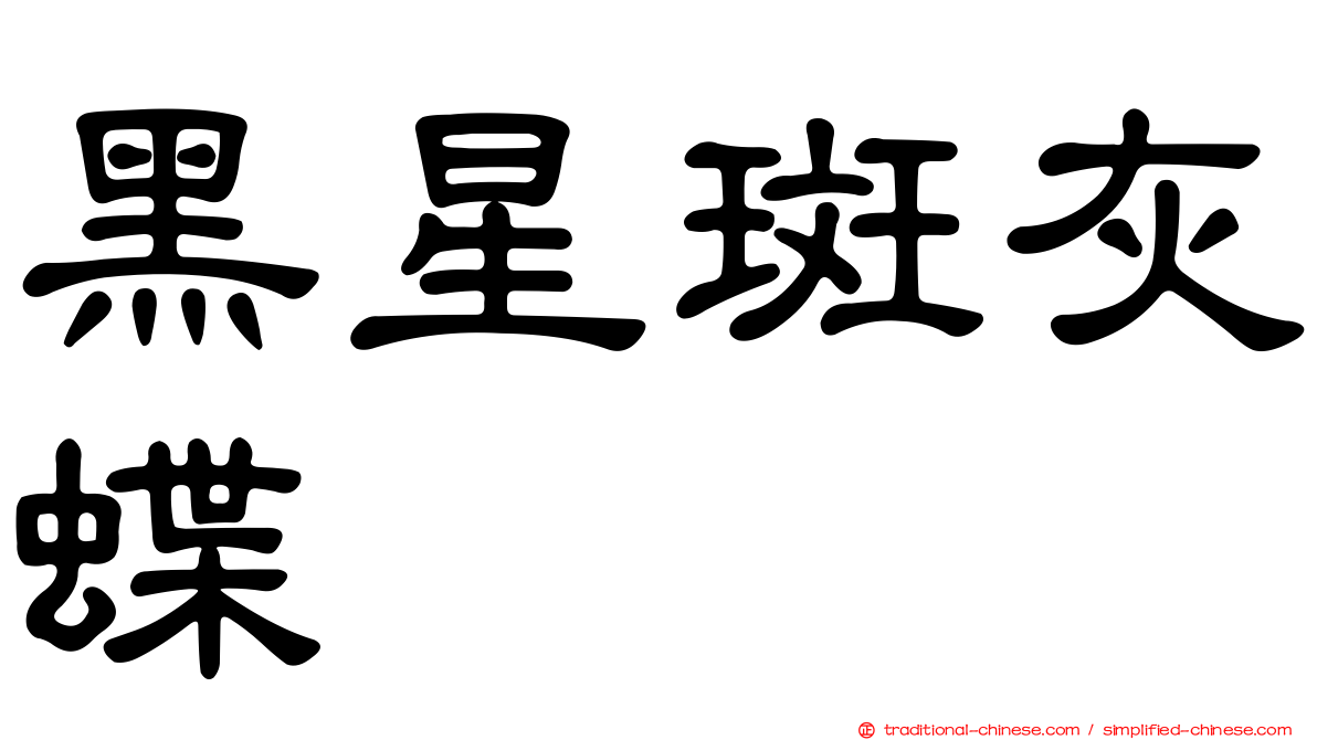 黑星斑灰蝶