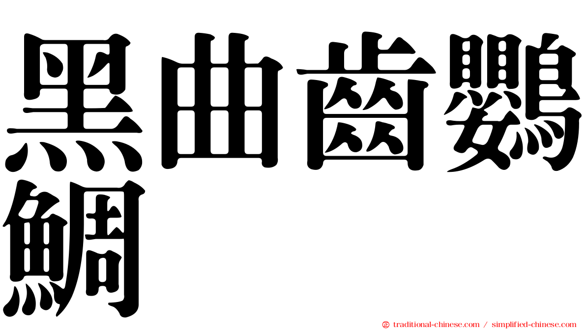 黑曲齒鸚鯛