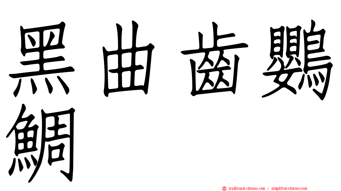 黑曲齒鸚鯛