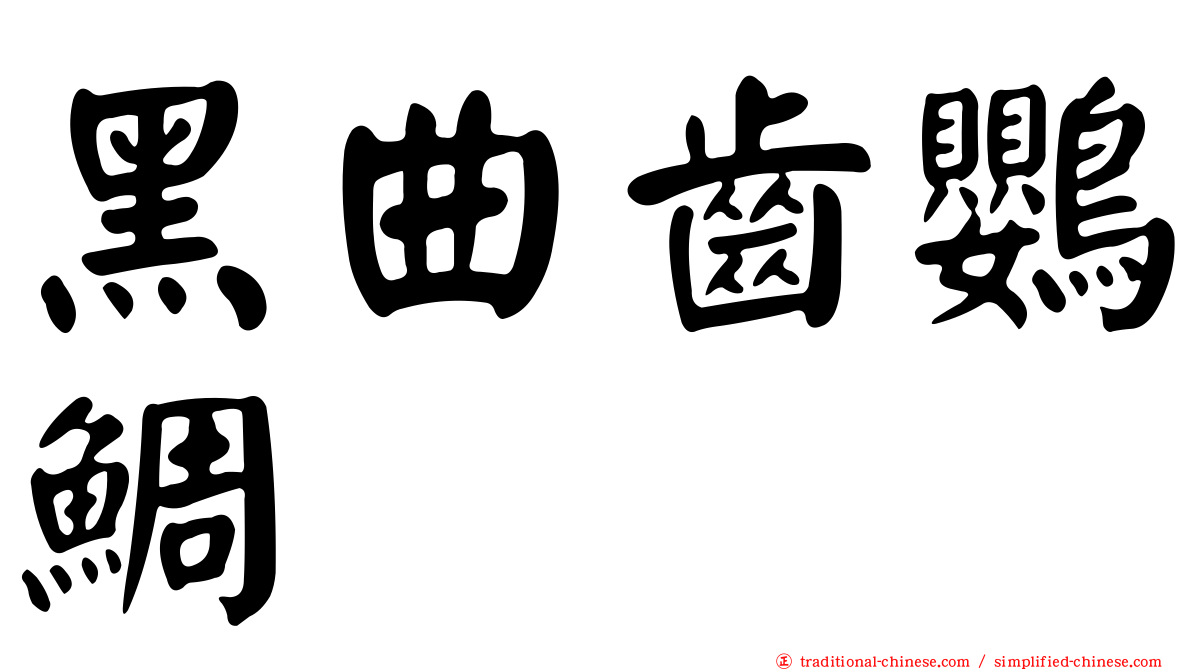 黑曲齒鸚鯛