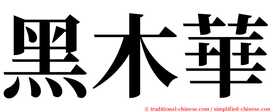 黑木華 serif font