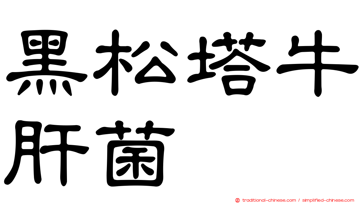 黑松塔牛肝菌