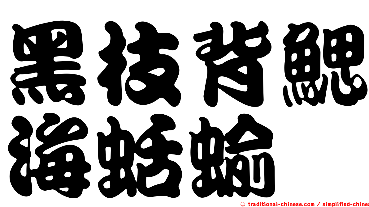 黑枝背鰓海蛞蝓
