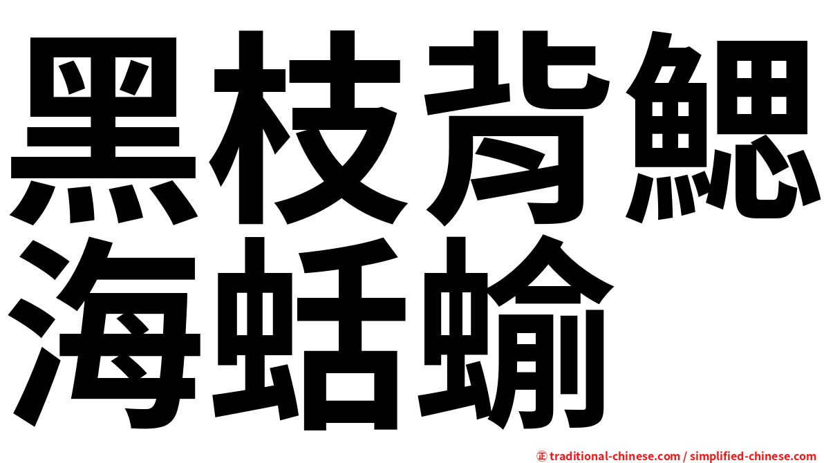 黑枝背鰓海蛞蝓