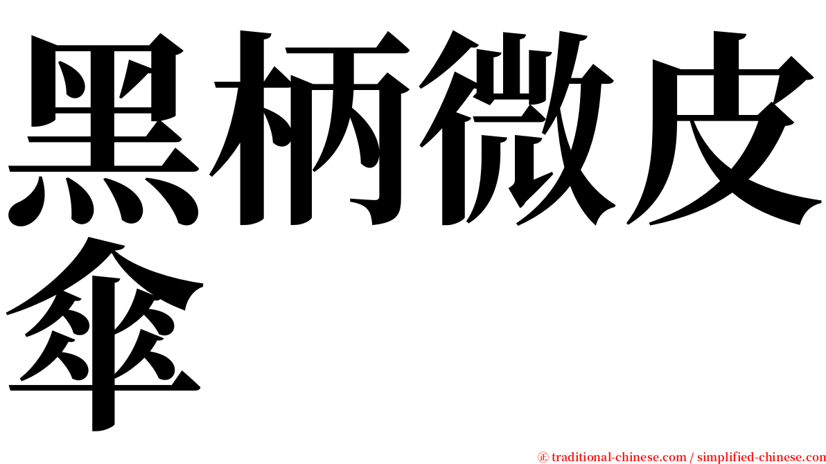 黑柄微皮傘 serif font