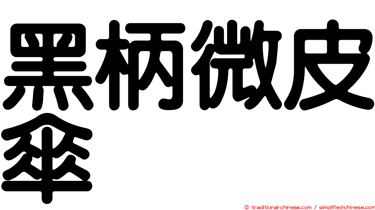 黑柄微皮傘