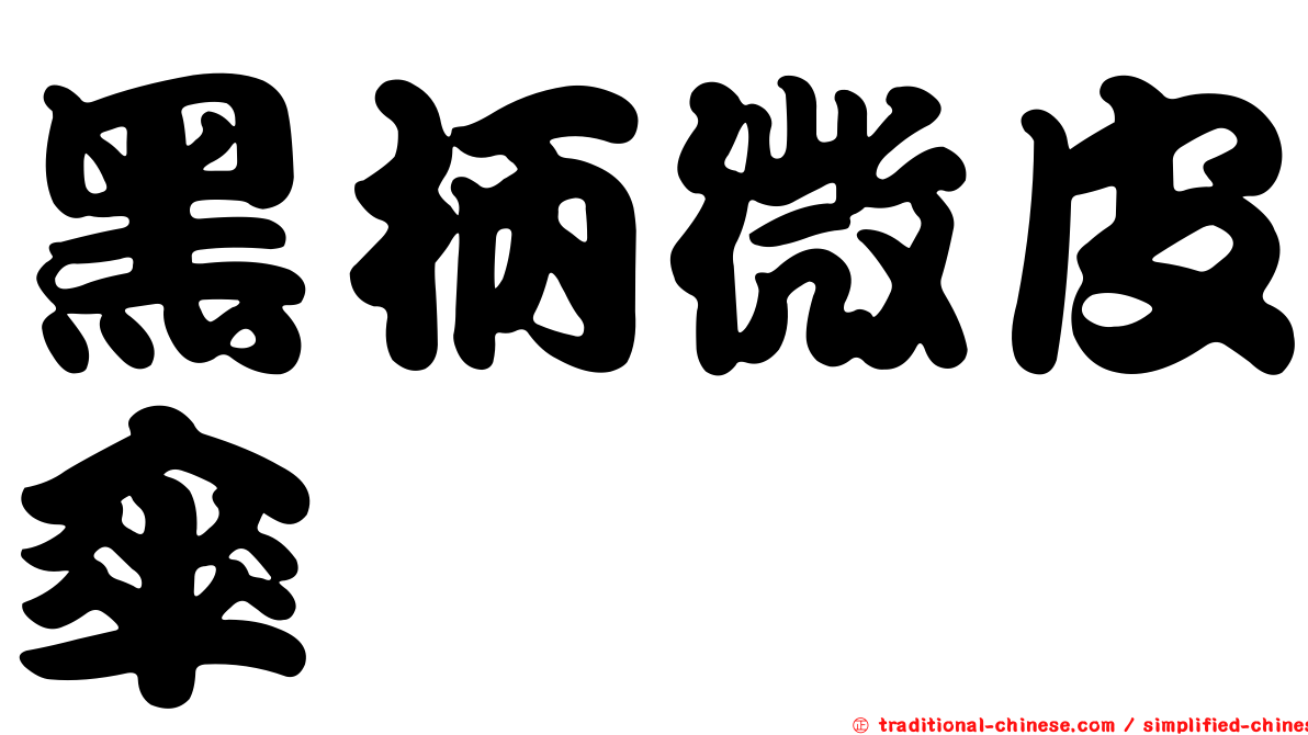 黑柄微皮傘