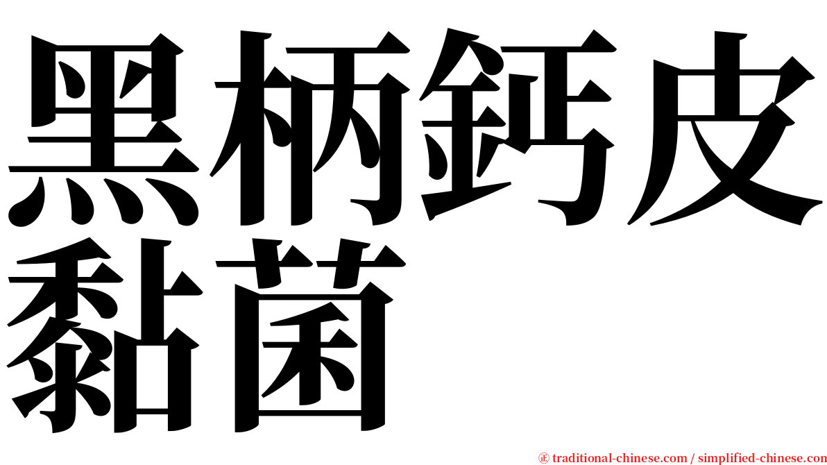 黑柄鈣皮黏菌 serif font