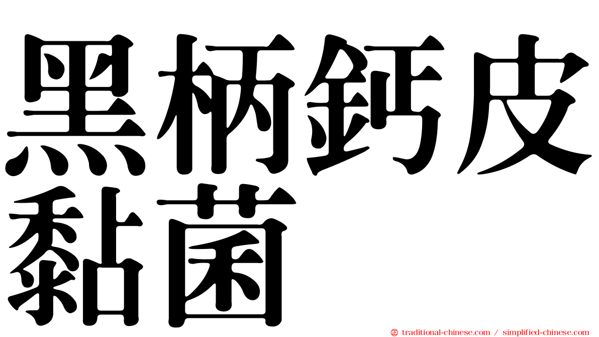 黑柄鈣皮黏菌
