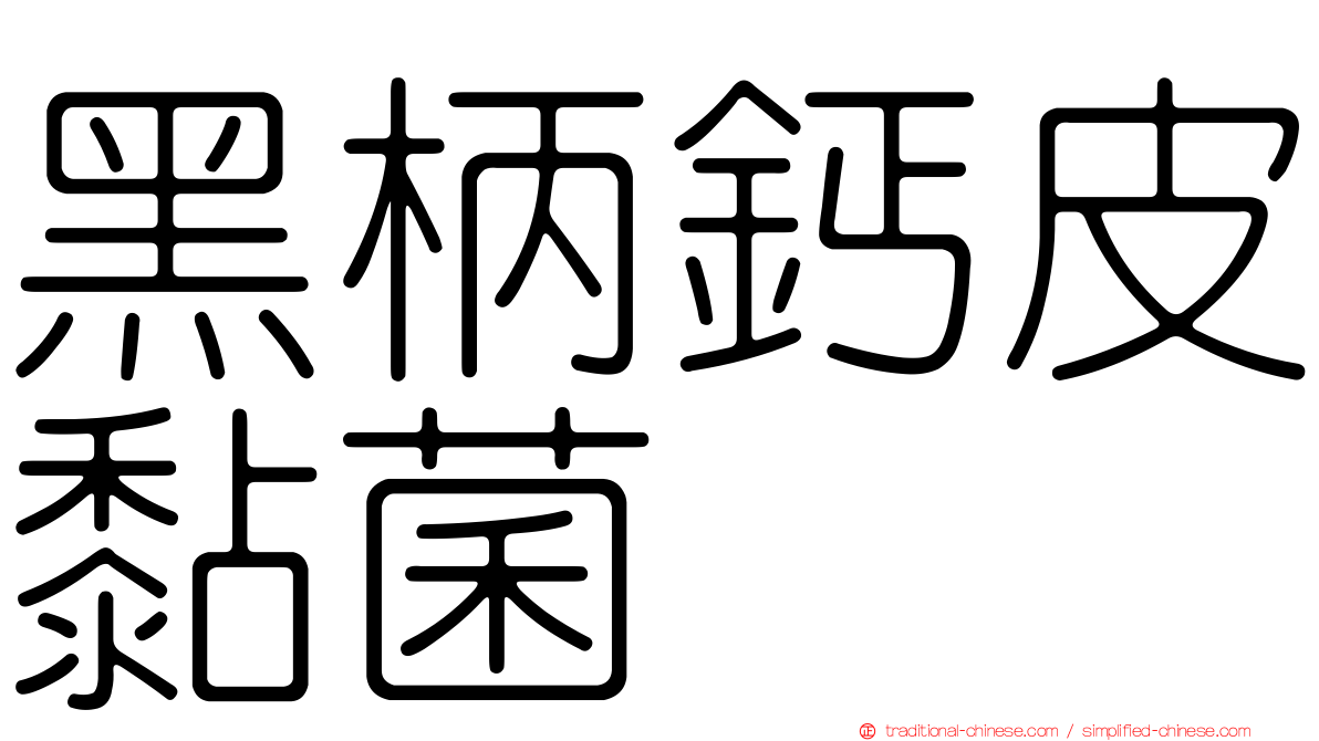 黑柄鈣皮黏菌