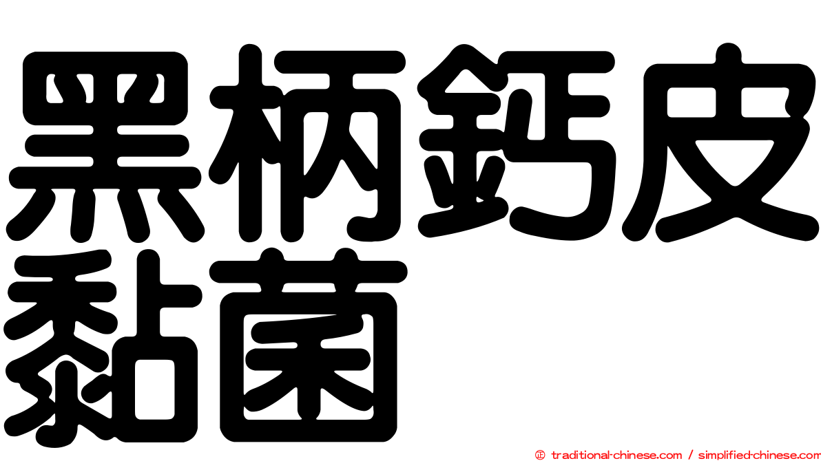 黑柄鈣皮黏菌