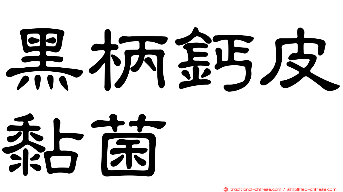 黑柄鈣皮黏菌