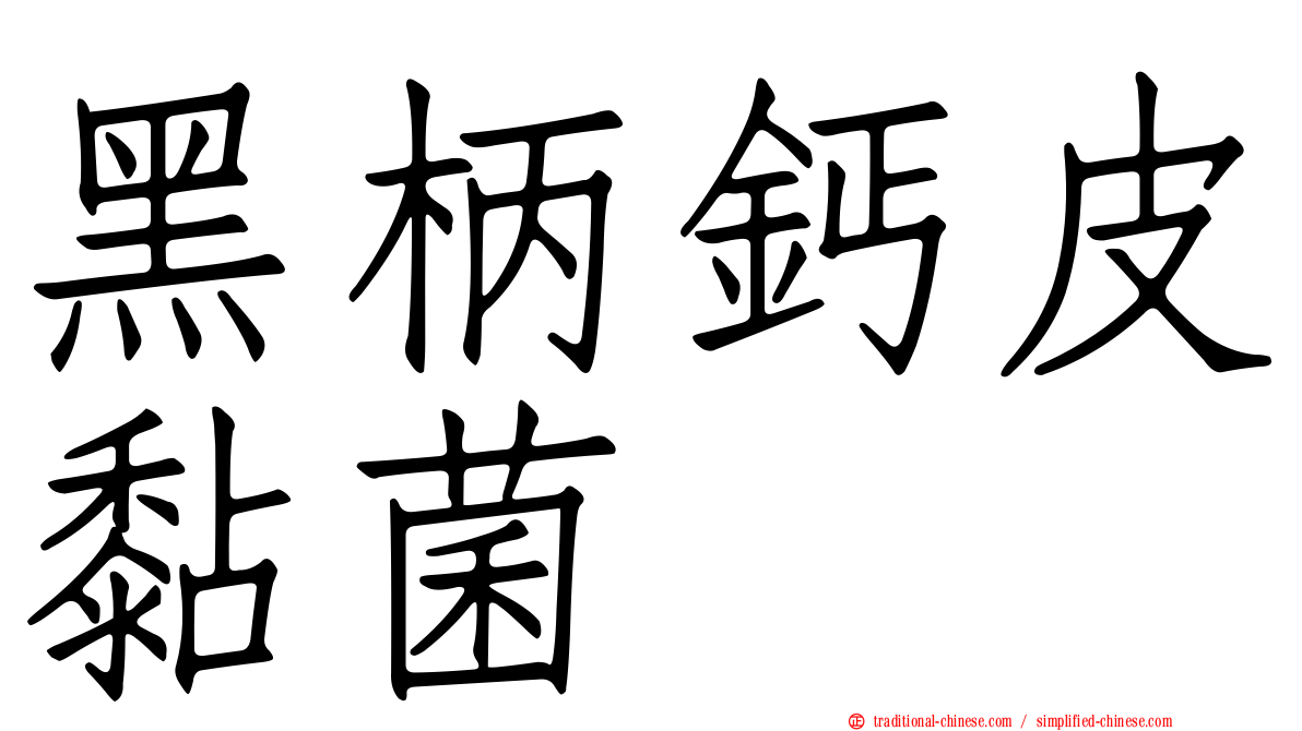 黑柄鈣皮黏菌