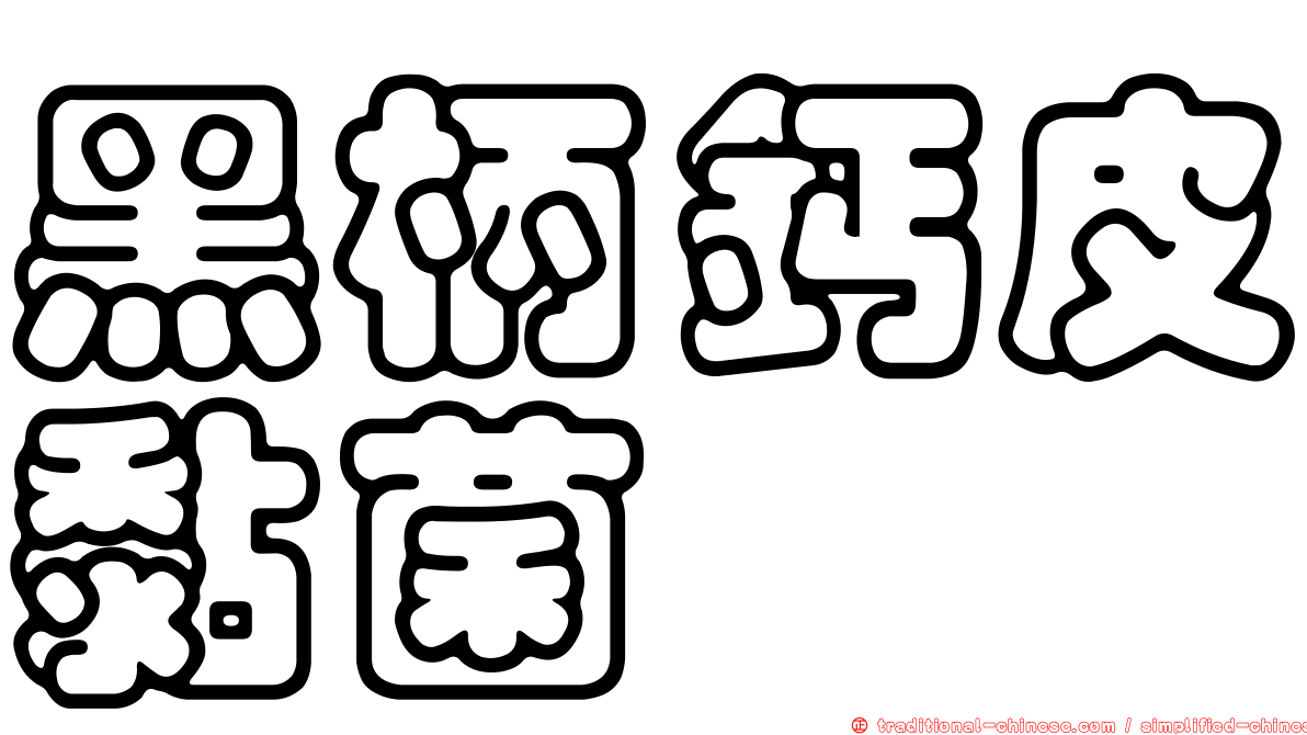 黑柄鈣皮黏菌