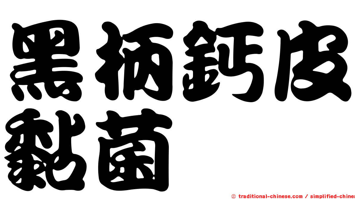 黑柄鈣皮黏菌