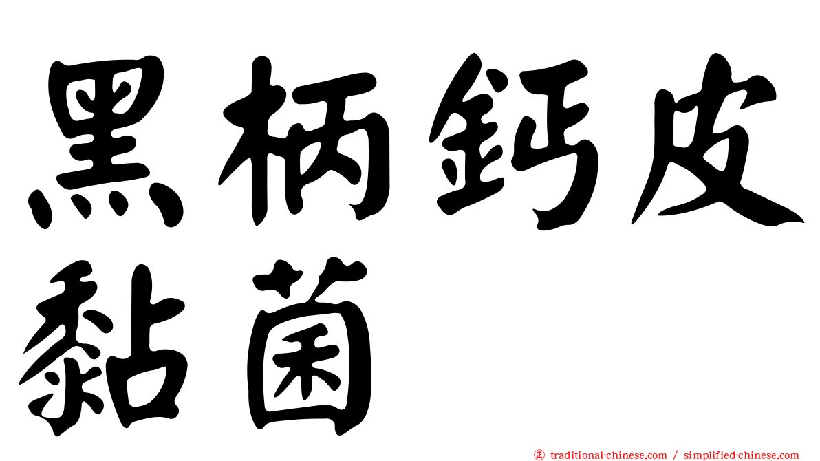 黑柄鈣皮黏菌