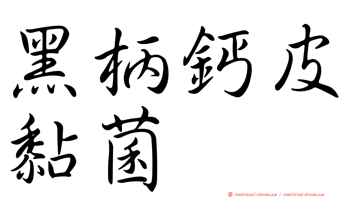 黑柄鈣皮黏菌