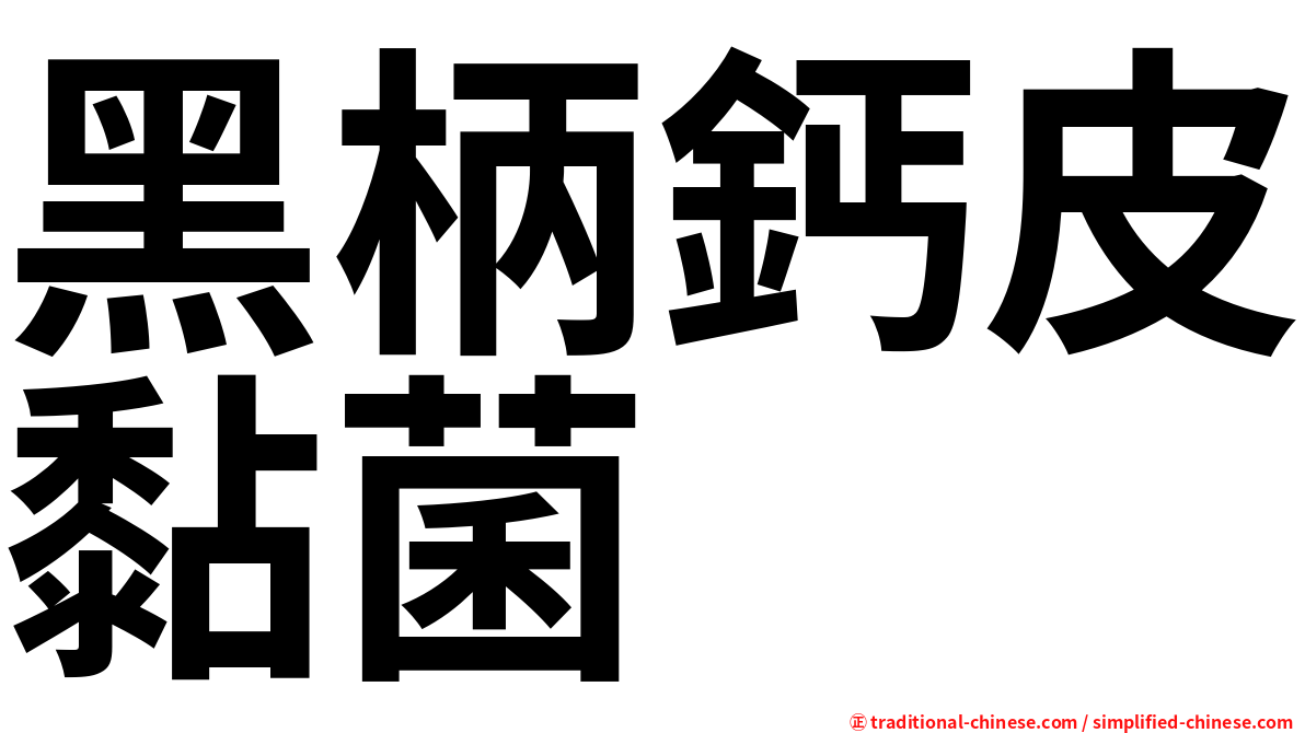 黑柄鈣皮黏菌
