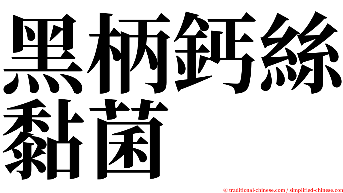 黑柄鈣絲黏菌 serif font