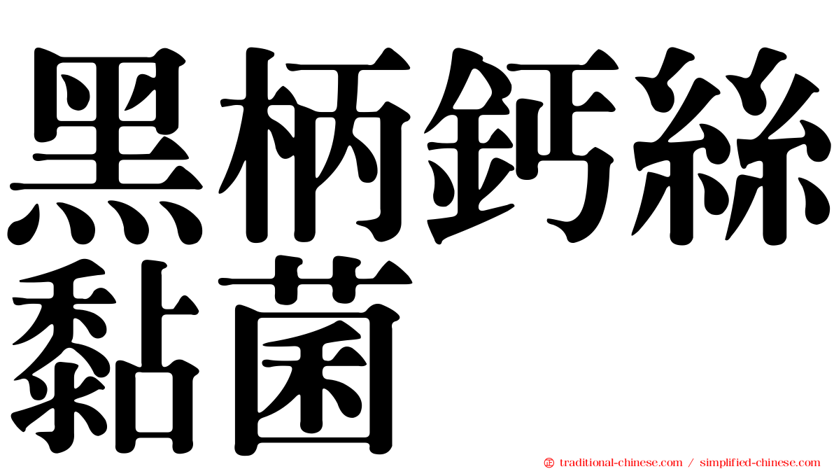 黑柄鈣絲黏菌