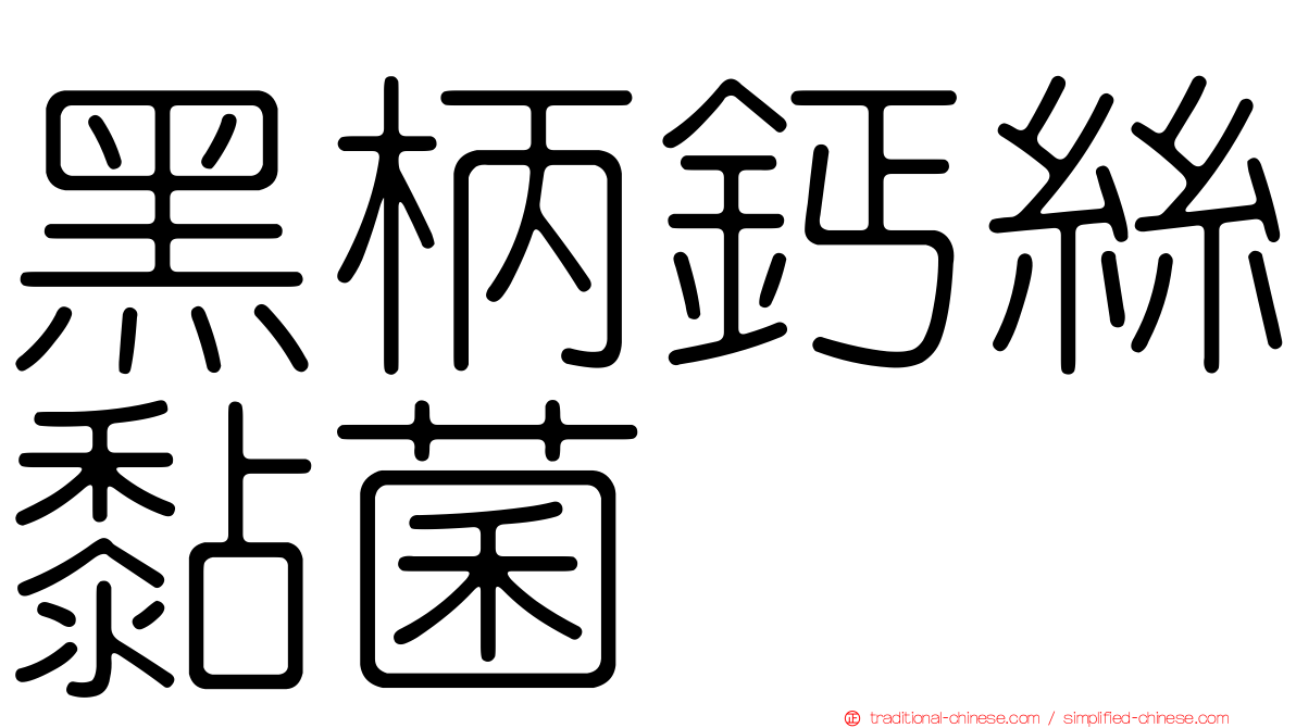 黑柄鈣絲黏菌