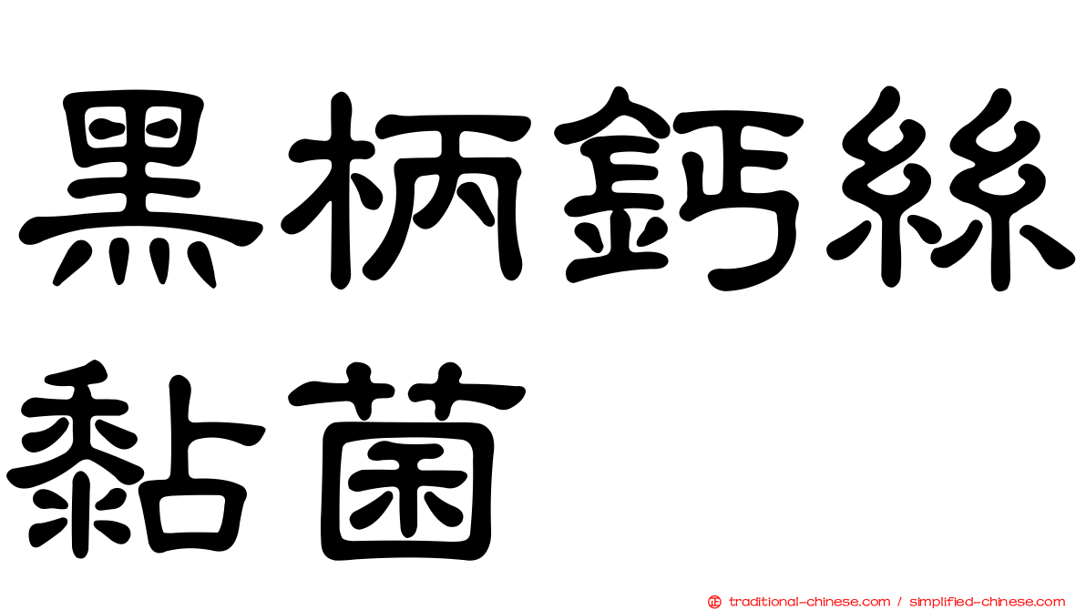 黑柄鈣絲黏菌