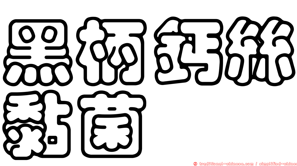 黑柄鈣絲黏菌