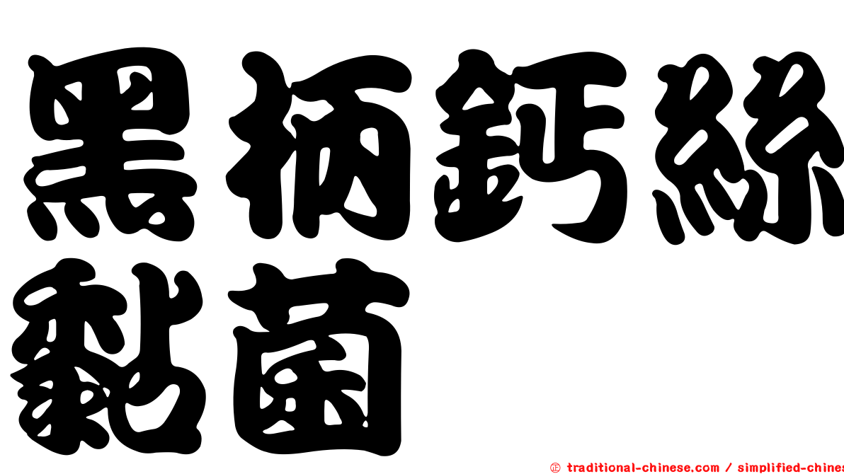 黑柄鈣絲黏菌