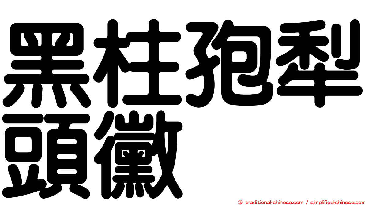 黑柱孢犁頭黴